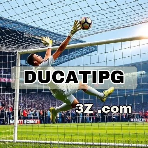 ducatipg Estratégia